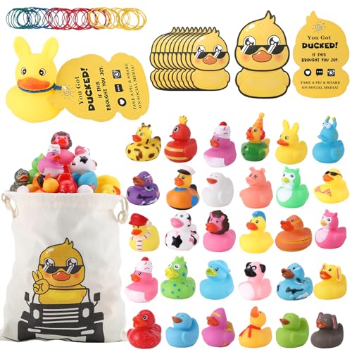 30Pcs Rubber Ducks for Ducking with 30 Tags 40 Rubber Bands & Storage Bag