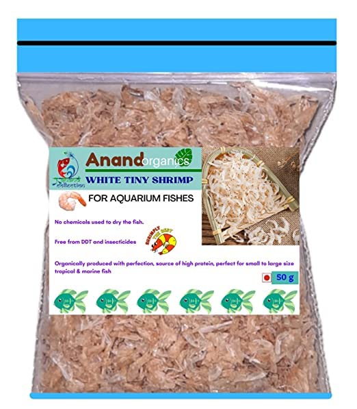 Buy Natural High Protein Aquarium Fish Food Sun Dried Small Tiny Size