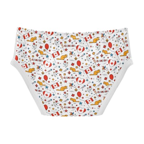 Boys' Exclusive Briefs Toddler Underwear 95% Combed Cotton Boxerbriefs 2T Canadian - Themed Pattern 332