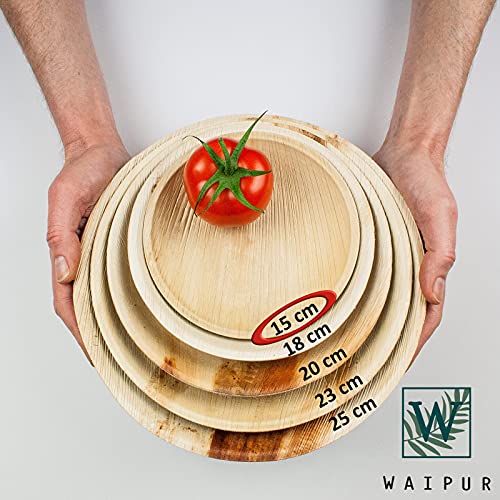 Waipur Bio Palmblad Borden β 200x Rond Bord Γ 15cm - Composteerbaar Eersteklas Wegwerp Servies - Milieuvriendelijke Wegwerp Bordjes - vergelijkbaar met Bamboo Plates - Afbeelding 6