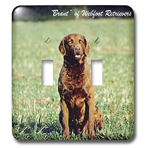 Funda para interruptor de pared Chesapeake Bay Retriever placa decorativa animal de un elemento 2