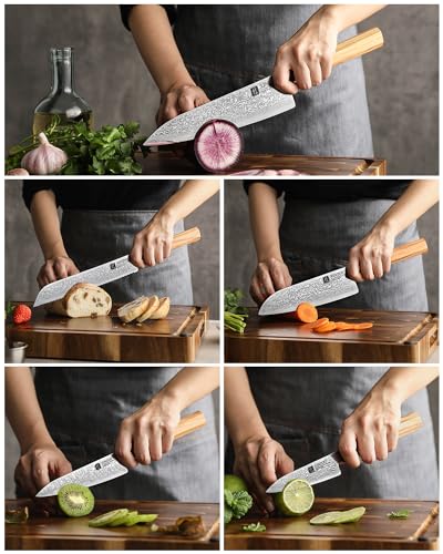 XINZUO-5-Pieces-Kitchen-Knife-Set-without-Block-Hand-Forged-67-Layers-Damascus-Steel-Professional-Chef-Knife-Set-Ultra-SharpOlive-Wood-Octagonal-Handle-Gift-Box