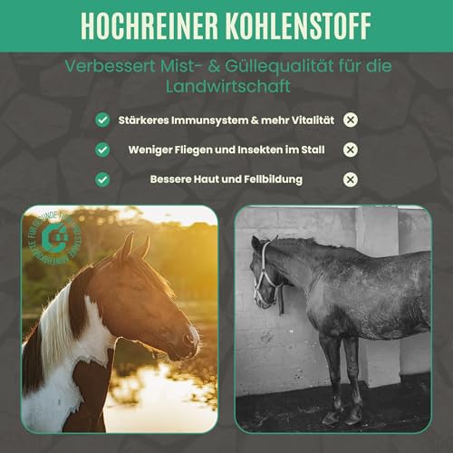 C44-Zittau Premium Futterkohle 0-3 mm für Pferde – 100% natürlicher Futtermittelzusatz für Verdauung, Stallhygiene, Geruchsbindung, Güllequalität & Darmflora – Made in Germany (10L)