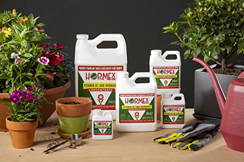 Hormex Vitamin B1 Rooting Hormone Concentrate - Rooting Hormone For Hydroponics, Aeroponics, Established Plants, Cuttings And More, Indoor And Outdoor Plant Growth Stimulator Concentrate - (32Oz) #TOP7