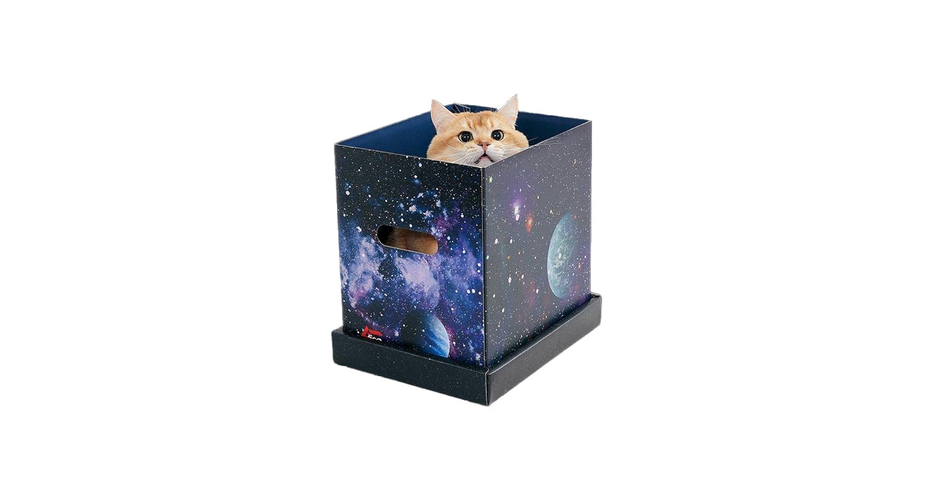 Amazon.co.jp: 月刊ムーコラボ 宇宙猫製造BOX 猫 ねこ UMA