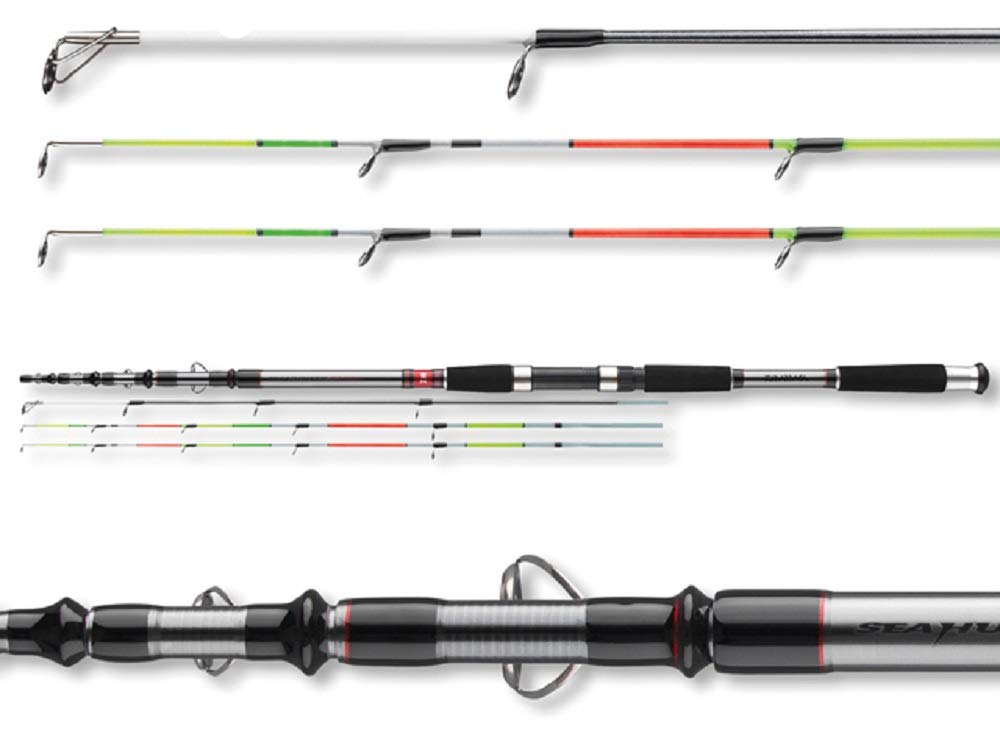 Amazon.com : Daiwa Seahunter X Variotip Tele SHRXT 150G, 3 Meters
