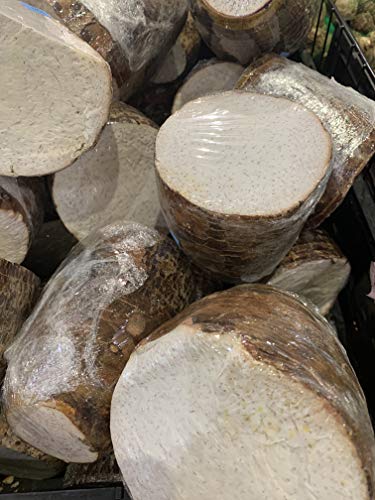 Kejora Fresh Malanga Coco / Big Taro Roots thumb #1