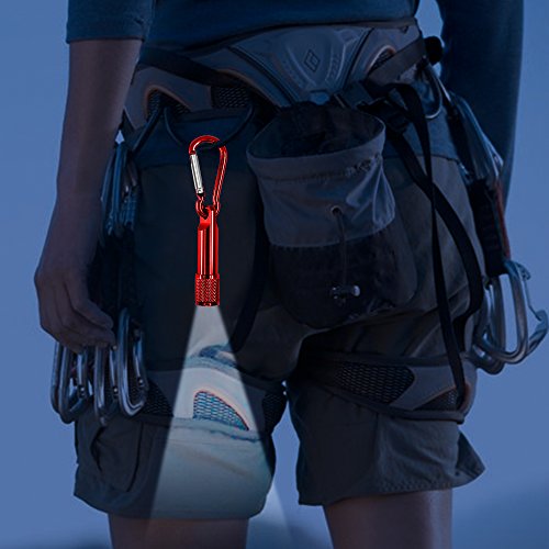 Maxin 6 Pack Mini Led Keychain Flashlight, Battery Poweres Torch Light,Super Mini Key Chain Flashlights, For Home And Outdoor Activities. ( 6 Colors ) #TOP4