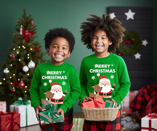 Toddler Boys Christmas Sweatshirt Kids Santa Dinosaur Penguin Shirt Xmas Pullover Sweater Long Sleeve Tops 1-7T2