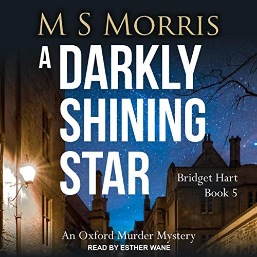 Cover art for A Darkly Shining Star