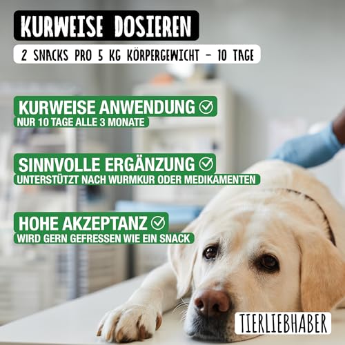 TIERLIEBHABER – W-Snack Hundeleckerli als Ergänzung zur Wurmkur Hund – Hundesnack zur Unterstützung bei Entwurmung Hund – Unterstützt Entwurmungsmittel für Hunde – 350g Dog Treats