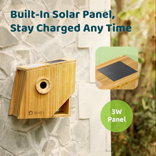 Smart Bird House with Camera, Auto-Record Nesting Stages & Alerts - image 3