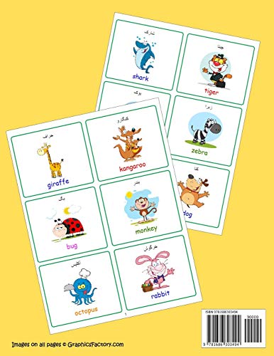 English Urdu Educational 240 First Words Activity Colors Book for Toddlers (40 All Color Pages): New childrens learning cards for preschool ... (Toddler All Colors Paperback Book) image 4