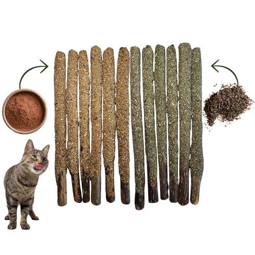 Catnip Silvervine Sticks For Cats | Cat Chew Stick | Cat Nip Chew For Cats | Cat Teeth Cleaning | Cat Teething Toys | 6 Sticks Gall Fruit 6 Sticks Catnip Powder | Aggressive Chewers Cat Dental Toy