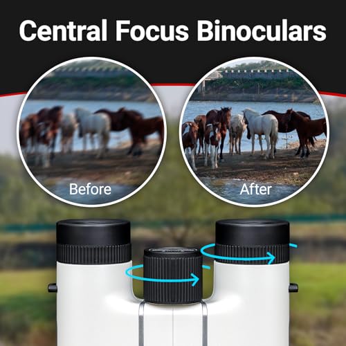 Binoculares ZWO Seestar 8x24 Compactos y Livianos miniatura 7