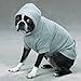 Zack & Zoey Fleece-Lined Hoodie for Dogs, 24