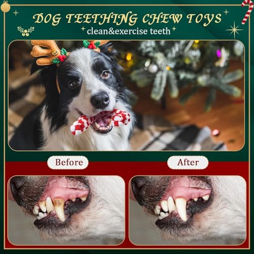 4 StüCk Weihnachten Hundespielzeug,Spielzeug Hund Weihnachten,Hund Weihnachten Spielzeug,Spielzeug Hund Weihnachten,Kauspielzeug Hund Zuckerstange,Dog Toys Candy Canes Geeignet für Kleine Mittlere