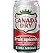 Canada Dry Zero Sugar Cherry Ginger Ale Fruit Splash Soda, 12 fl. oz. Cans, 12 Pack (Pack of 2)