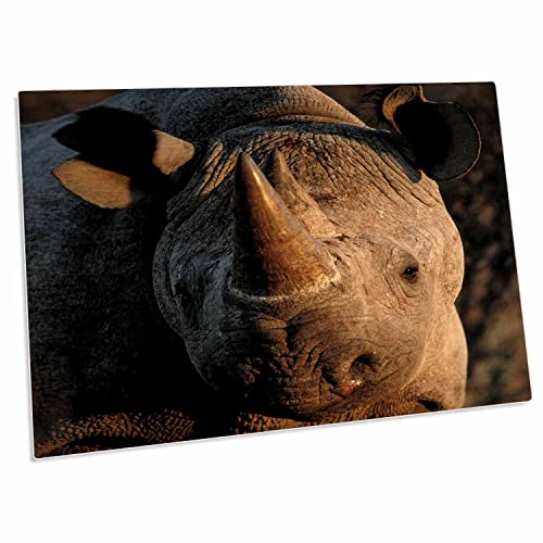 3dRose Desk Pad Grande de 23x16 Pulgadas