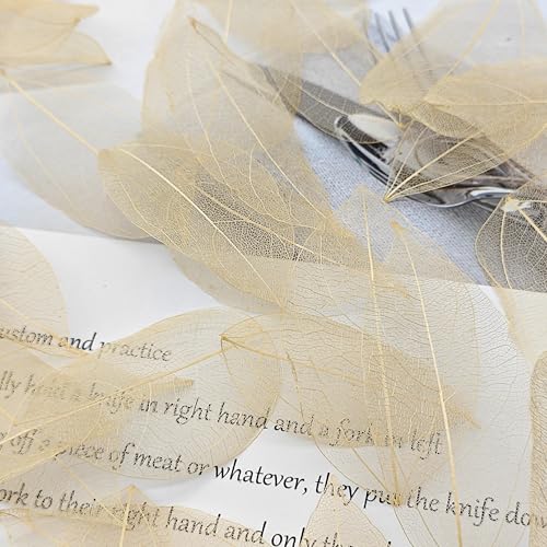 HAOBIN Pack of 50 Natural Skeleton Leaves Dried Leaves Skeleton Leaves Natural Dried Leaves Mixed for DIY Scrapbook Craft Card Making (Brown A) - Image 4