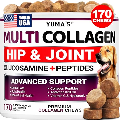 Advanced Collagen for Dogs - 170 Dog Collagen Chews - Hip and Joint Supplement - Skin & Coat Health, Cartilage & Mobility Support - Multi-Collagen Peptides - Glucosamine, Vitamin C, Hyaluronic Acid