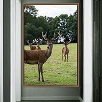 Framed Canvas Wall Art Deer Animals Deer Multicolor Photography Rustic Urban - 16x24 inches