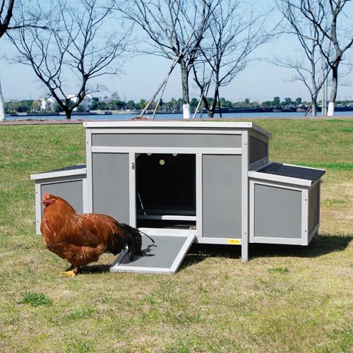 Coziwow 0534 Durable Assembled Wooden 59 Inch L Outdoor Large Chicken Coop thumb #1
