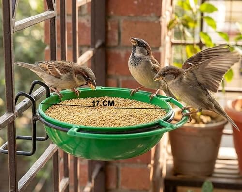 Image of Amijivdaya Bird Feeder Bowl with Iron Stand, Green, 17 CM, 2-in-1 Food and Water Feeder,