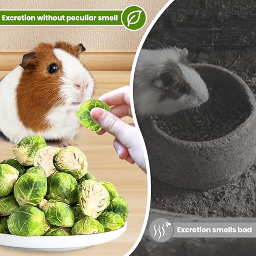 Snack para conejos con coles de Bruselas liofilizadas miniatura 3