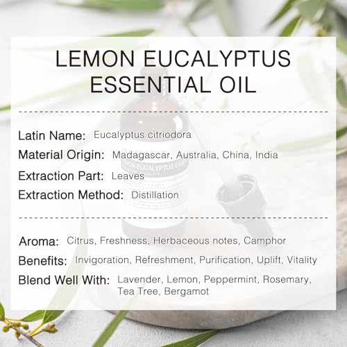 Image of Lemon Eucalyptus Essential Oil for Skin, Face, Massage, Diffuser | Pure and Natural, Lemon Eucalyptus Oil for Home Cleaning, Aromatherapy, DIY Soap and Candle Making, 100ml / 3.38 fl oz