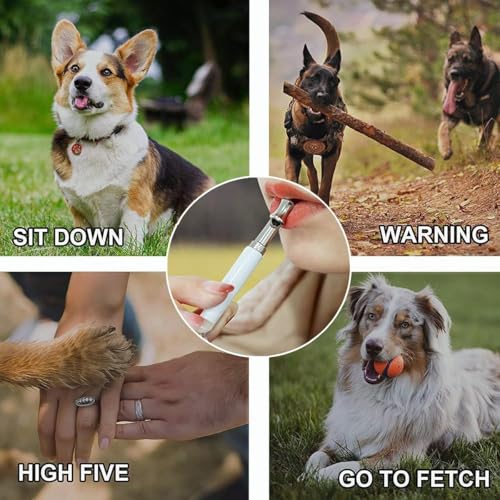 Dog Training with Ultrasonic Whistle