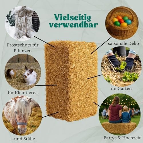15 kg Bester Qualitäts Weizen Strohballen, trockenes frisches ungespritztes Stroh, aktuelle deutsche Ernte naturbelassen für Kaninchen Meerschweinchen Hasen Futter Deko, direkt vom Bauern