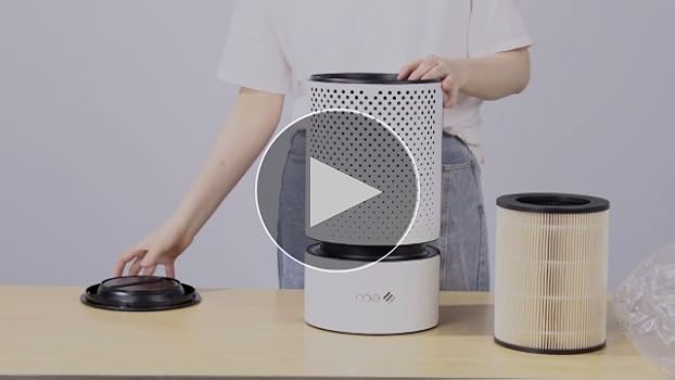 ecozy TRUE HEPA 空気清浄機 AP-HA500A エコジー 空気清浄機AP-HA500A専用】 HEPA&活性炭交換フィルター