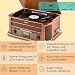 Auna Retro Plattenspieler & DAB-Radio, mit Lautsprecher, Schallplattenspieler im Vintage Design...