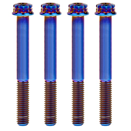 Titanium Flange M10 Bolt (M10x65mm Pitch 1.25mm, Burnt Blue)