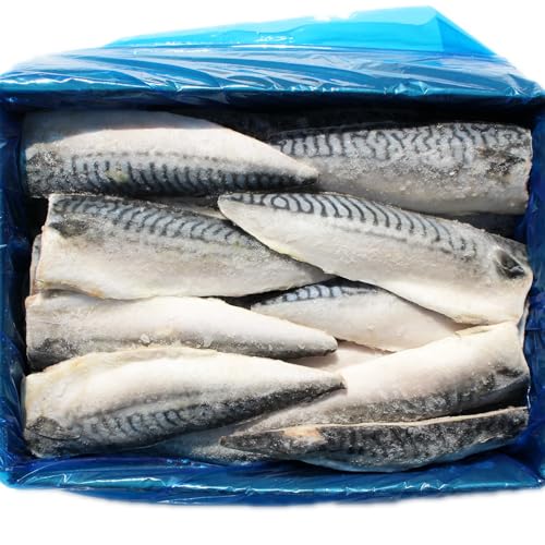 To I  Ⓚ mEF[Y 40 5kg Ɩp o gTo TotB[ VR Y