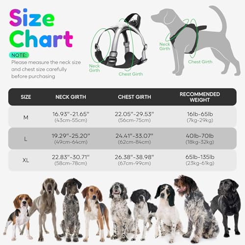 LED Hundegeschirr Leuchtend, Multicolor Reflektierendes Leuchthundegeschirr für Nacht, USB-C Wiederaufladbar mit Batterieanzeige, Verstellbares No-Pull Geschirr für Sichere Spaziergänge (L)