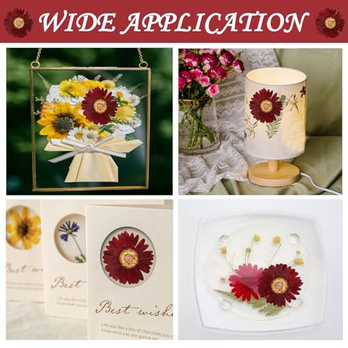 Flores secas naturales grandes para manualidades DIY miniatura 4