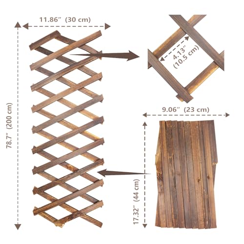 LANZLC Rankgitter Holz Ausziehbar, Holzspalier 200 x 30cm Gartenzaun Holzzaun Deko Scherengitter Verstellbar Pflanzengitter Gartengitte Trellis Hartholz Spalier für Balkone und Gärten, Naturholzfarbe
