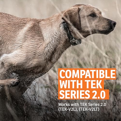 PetSafe SportDog TEK Series 2.0