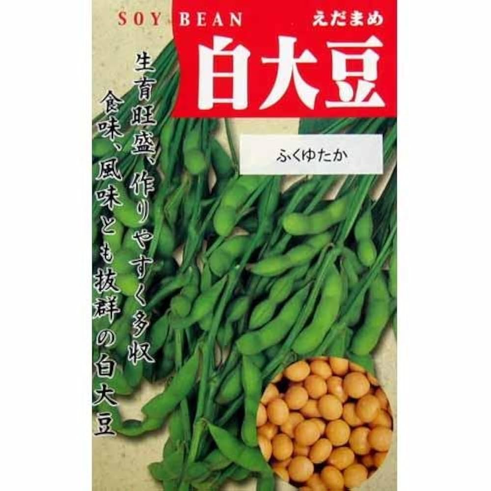 大豆の大豆 国産煎り大豆（有機大豆・有機黒大豆） | ビオ・マルシェの商品