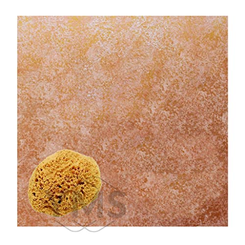 Image of YMS Natural Ocean SEA SPONGES Artists Crafts Painting Tool General Use, 2 pc