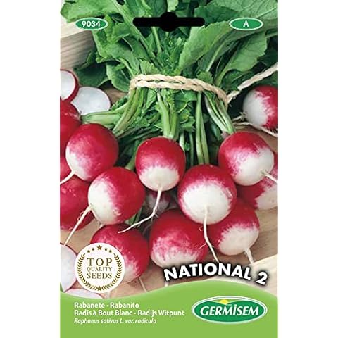 Germisem National 2 Semillas de Rábano 10 g Cover