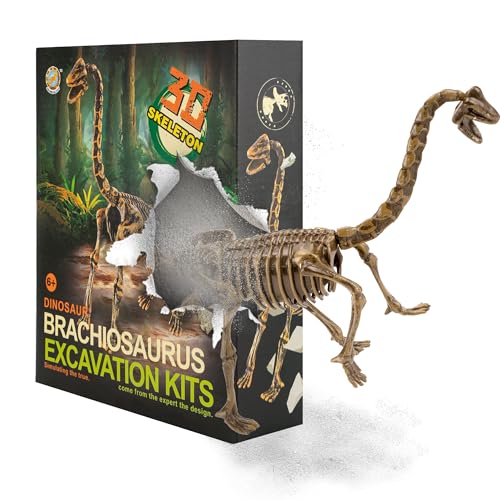 MUSCCCM Dinosaur Dig Kit Braquiosaurio, Dino Skeleton Fossil Excavation Kit Realistic Dinosaur Model Juguetes educativos Regalo para Niños Niñas Regalo de Año Nuevo