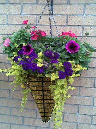 COIR GARDEN Coco Gardening Pots with Stand Conical Hanging Basket, 9 Inch -2 Pieces (Diameter -24 cm, Height -31 cm)