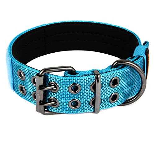 Yunleparks Tactical Collar for Medium Large Dogs, Heavy Duty Metal Buckle, Soft Neoprene Padded, Nylon Wide(Large, Blue)