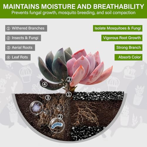 Image of NUPICK 6lb River Rocks for Plants Indoor, 3 /8 Inch Black Pebbles for Vases Fillers, Decorative Pea Gravel for Fish Tank, Natural Polished Stones for Succulent, Bonsai, Landscaping, Bird Baths