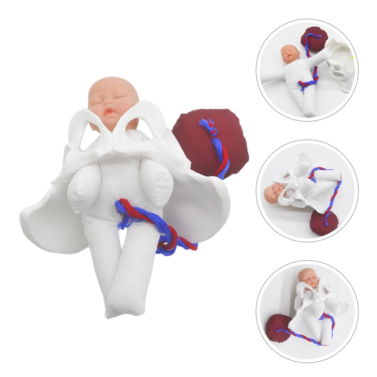 Operitacx Modèle Outil Polyvalent Cordon Ombilical et Placenta de Simulation D'accouchement en Pvc Fœtus Détaillé pour Formation Prénatale et Éducation Médicale