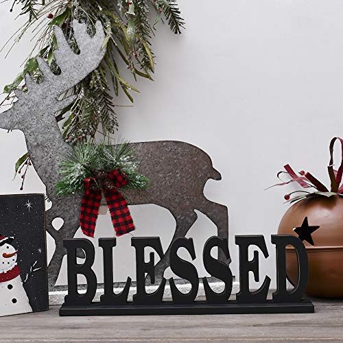 E-view Wooden Family Sign for Home Decor - Decorative Letters Tabletop Word Plaque Home Décor Accents (Blessed)