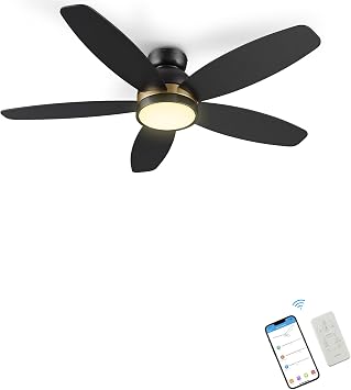 SMAAIR Smart Ceiling Fans with Lights for Bedroom, 48" Low Profile Modern Ceiling Fan with Light and Remote/APP/Voice Control, Flush Mount, 5 Blades, Dimmable, DC Motor, Indoor/Outdoor Use, Black